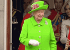 1654686141491.gif