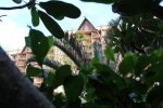 IMG_7043.JPG
