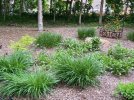 E3097FA2-94D5-4BB7-BEDC-F38EC338FC58.jpg