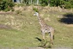 DSC_0118.JPG