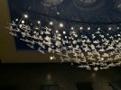 IMG_0403.jpeg