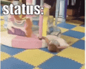 F2B61256-2590-457F-A318-9D3C07ECE5DE.gif