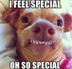 08CA2088-FCEE-4F5F-885F-3C3B63F1AE61.jpeg