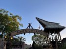 IMG_8118.JPEG