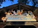 IMG_8128.JPEG