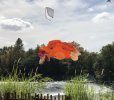 F3111CE3-A20C-4487-AABB-BBA2F455E58A.jpeg
