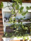 IMG_3245.JPEG