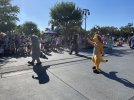 IMG_4525.jpeg