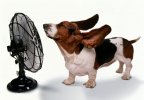 keep cool.jpg