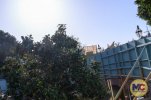 Disneyland_Pirates-Queue_Tree-in-Queue-1-of-1-1.jpg