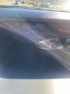 IMG_3266.JPEG