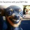 1655315925896.png