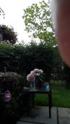 Resized_20220615_205101.jpeg