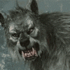 834A418D-4DED-4016-A656-31E0896B4D16.gif