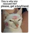 1655516655857.png