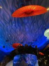 IMG_3359.JPEG