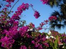 DSCN0016.JPG