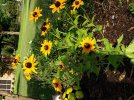 20220617_081911.jpg