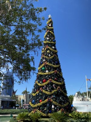 IMG_3385.JPEG
