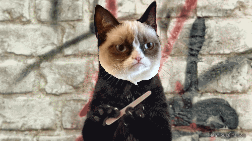 5B2D3047-023A-4AE1-B275-9A37F85CD853.gif
