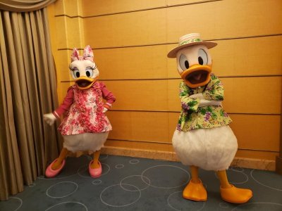 donsld daisyhawaii.jpg