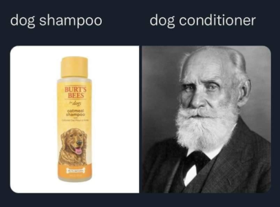 1655841503758.png