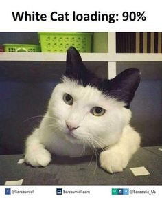 1655940220472.png