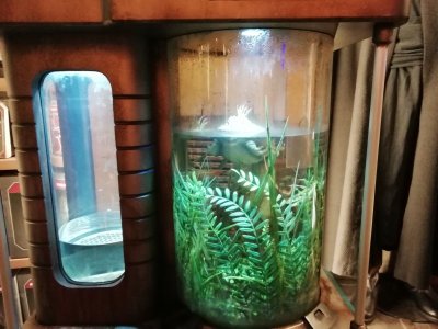 WDW Sept-Oct 2019 (280).jpg