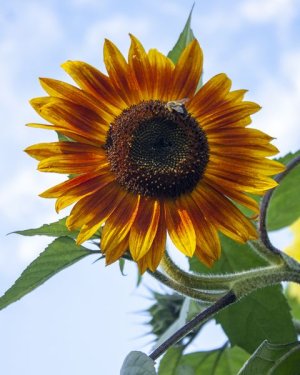 85AB68EE-41AC-4C91-AC46-1957505AE0E2.jpeg