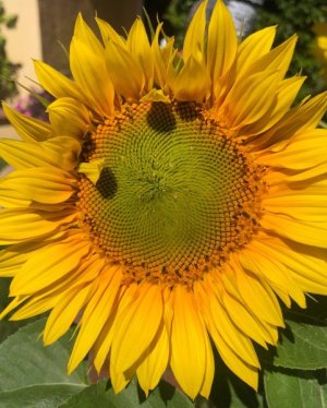 8EE23CA5-AD9B-4186-BBF4-D7FBE2E53584.jpeg