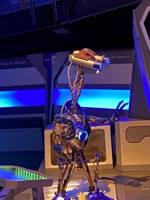 IMG_3424.JPEG