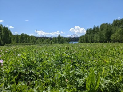 PXL_20220627_204232624.jpg
