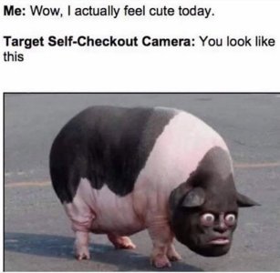 C39178F9-BCA0-47F6-95C6-2B8EE0B59174.jpeg