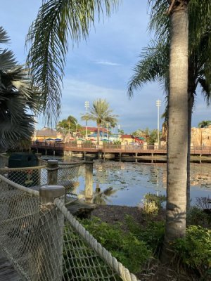 IMG_3452.JPEG