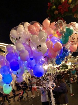 C9A70DC1-E0FF-42BC-8AF3-1058932CE28B.jpeg