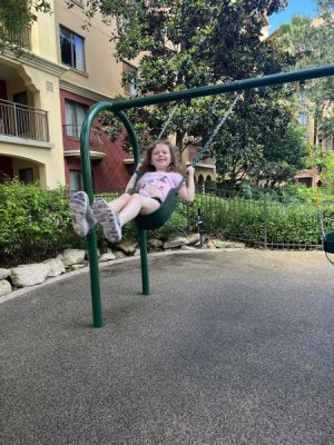 DD7 Swing.jpg