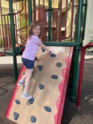 DD7 Climbing Wall.jpg