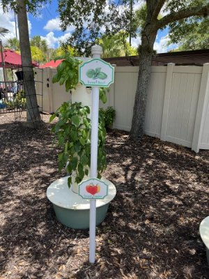 Herb Garden.jpg