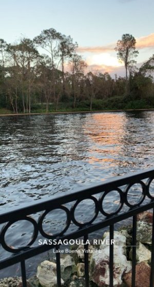 SNAP_20211215-172554.jpg