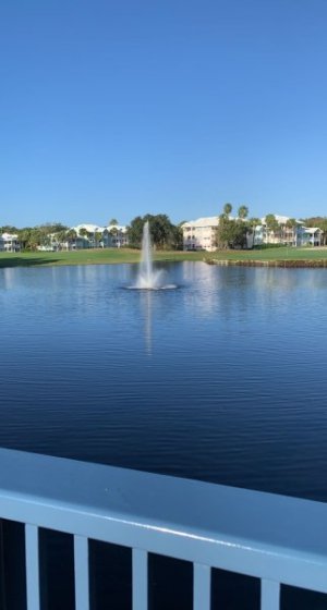 SNAP_20211216-090905.jpg