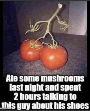 721776C8-83D2-4F17-B19E-82DA5539DA17.jpeg