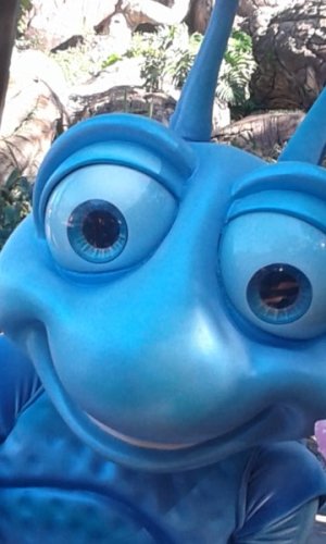 20171029_150904.jpg