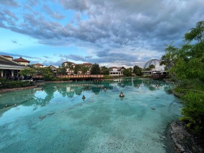 Disney Springs.jpg