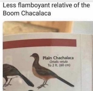 06A55C28-AE34-44BF-BAC1-9EE894DD0EE0.jpeg