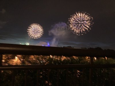 ED8E78D5-3612-4D69-AFAF-978E3F3D53AE.jpeg