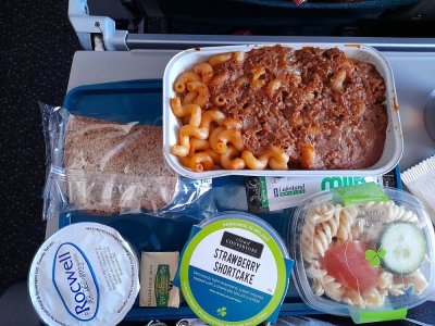 plane dinner.jpg