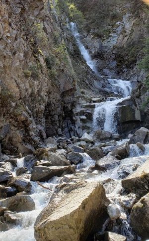skagway22lowerreidfalls.jpg