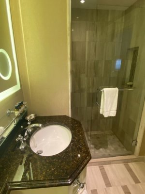 Chateau Laurier Bathroom.jpg