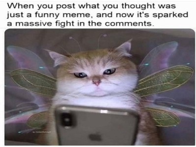 1656962209907.png