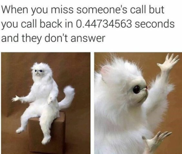 1656962245259.png
